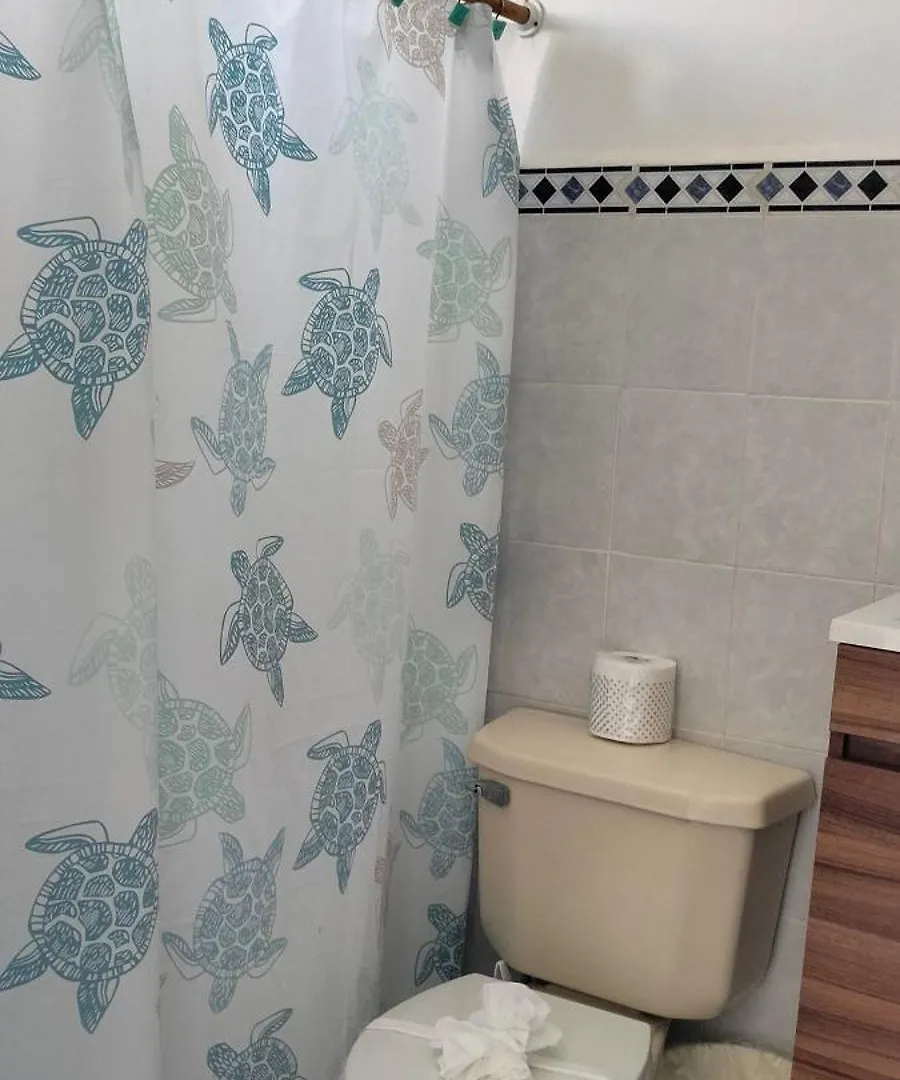 Punta Piedra Studios Isla Mujeres Apartamento
